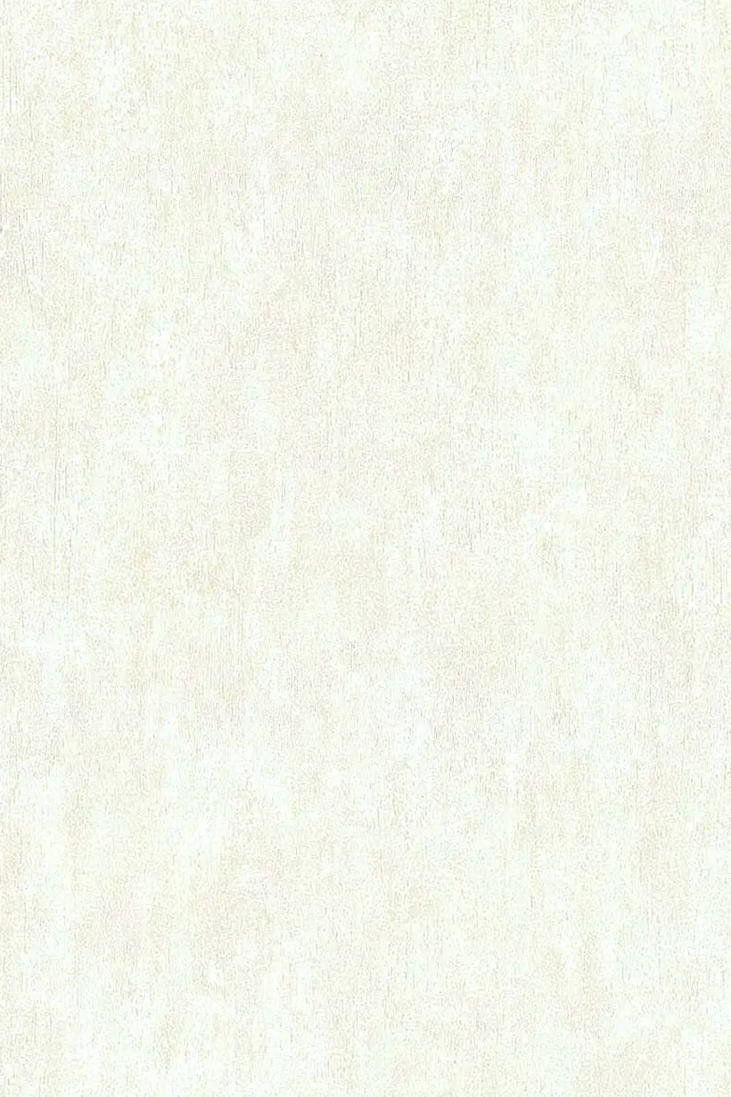 Uni beige clair - 11141807 – Image 2