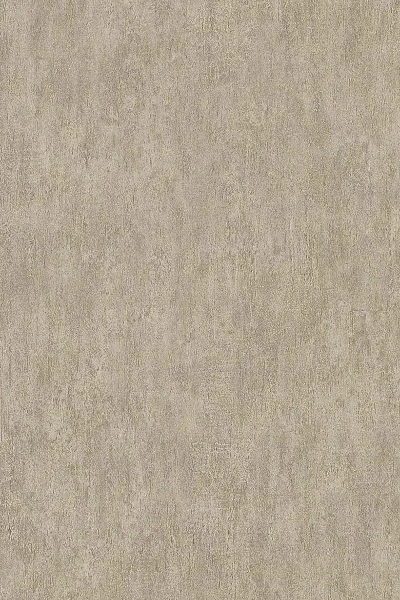 Uni taupe - 11141837 – Image 2