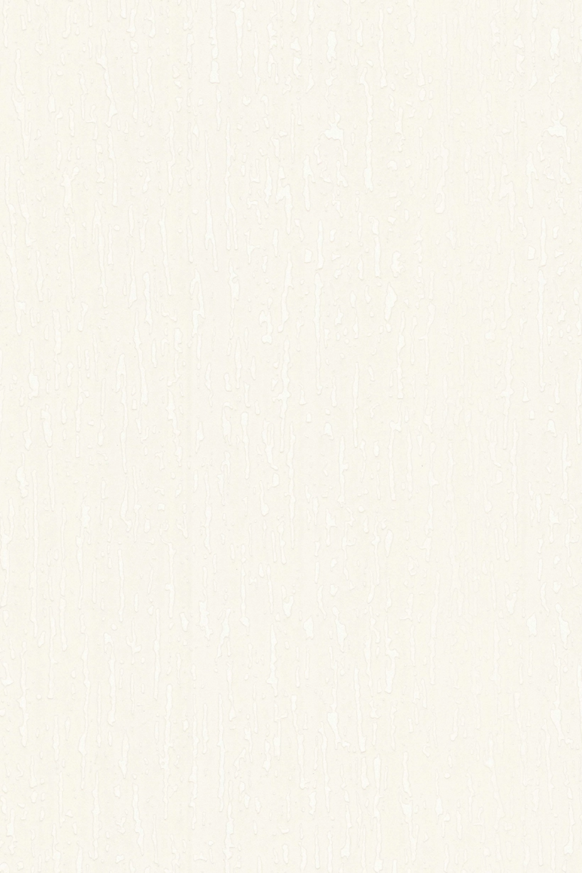 Crépi blanc - 11191700 – Image 2