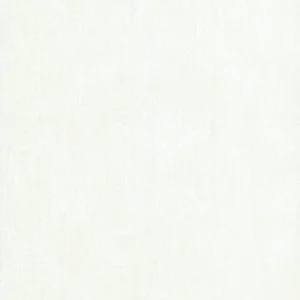 Uni enduit blanc - 11210400