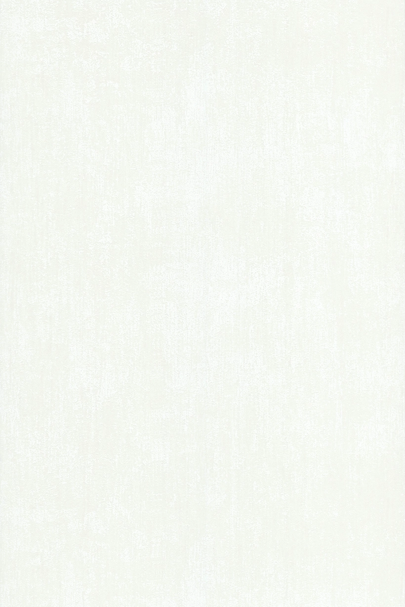 Uni enduit blanc - 11210400