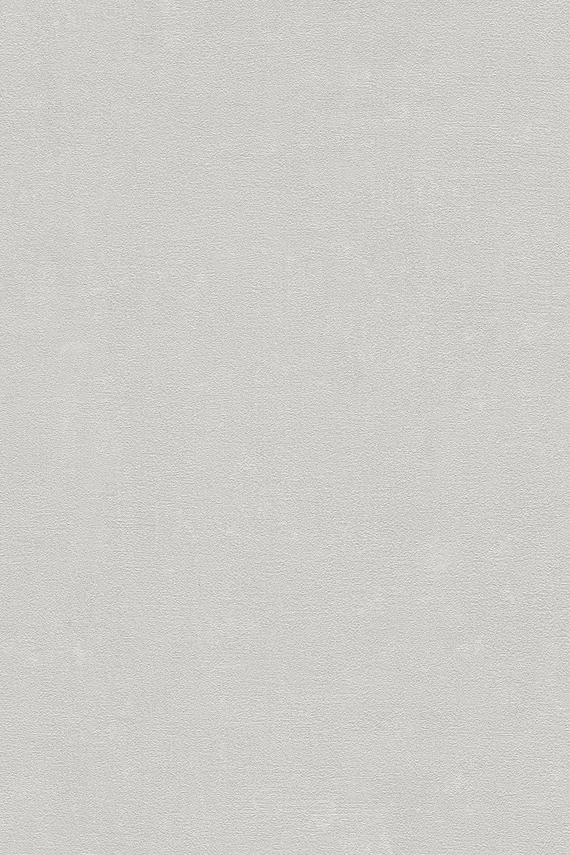 Uni enduit gris - 399392 – Image 2