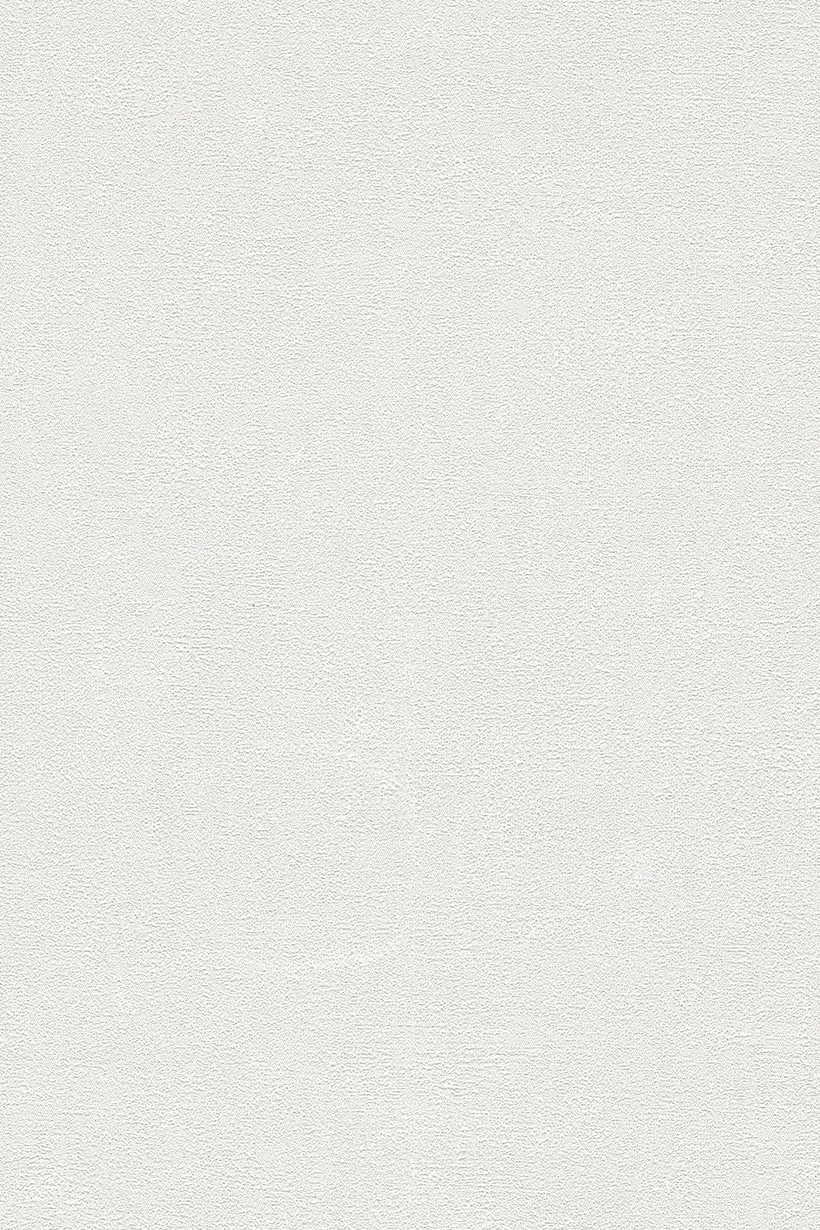 Uni enduit blanc calcaire - 399393 – Image 2