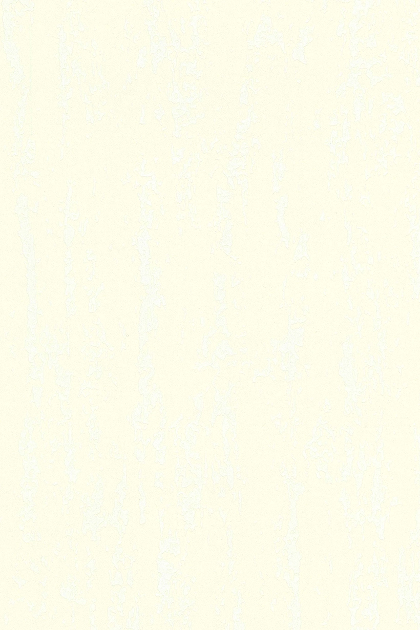 Blanc grisé - 4480XR08 – Image 2