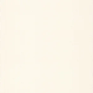 Uni toile blanc - 51091400