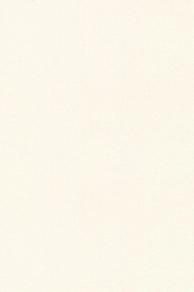 Uni toile blanc - 51091400 – Image 2