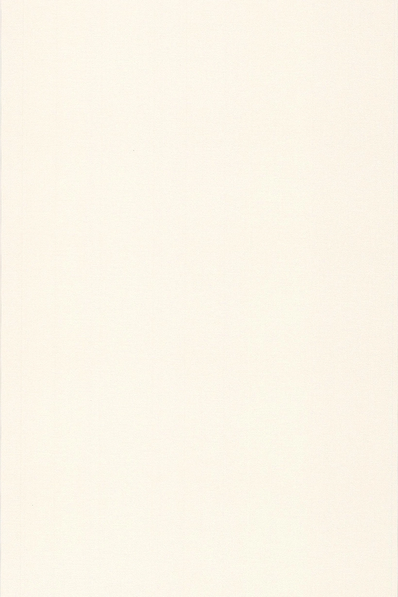 Uni toile blanc - 51091400