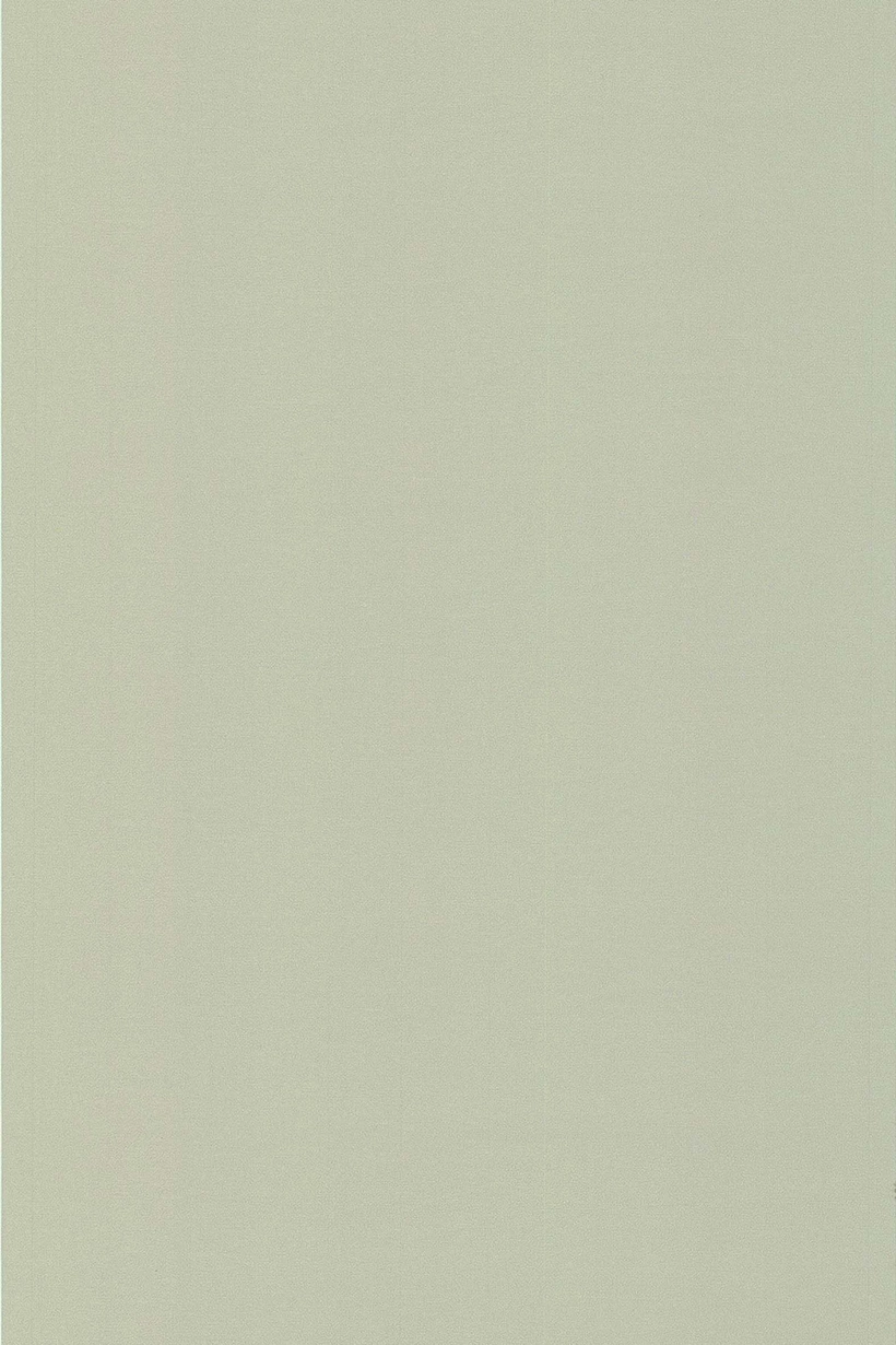 Uni toile grège - 51091417