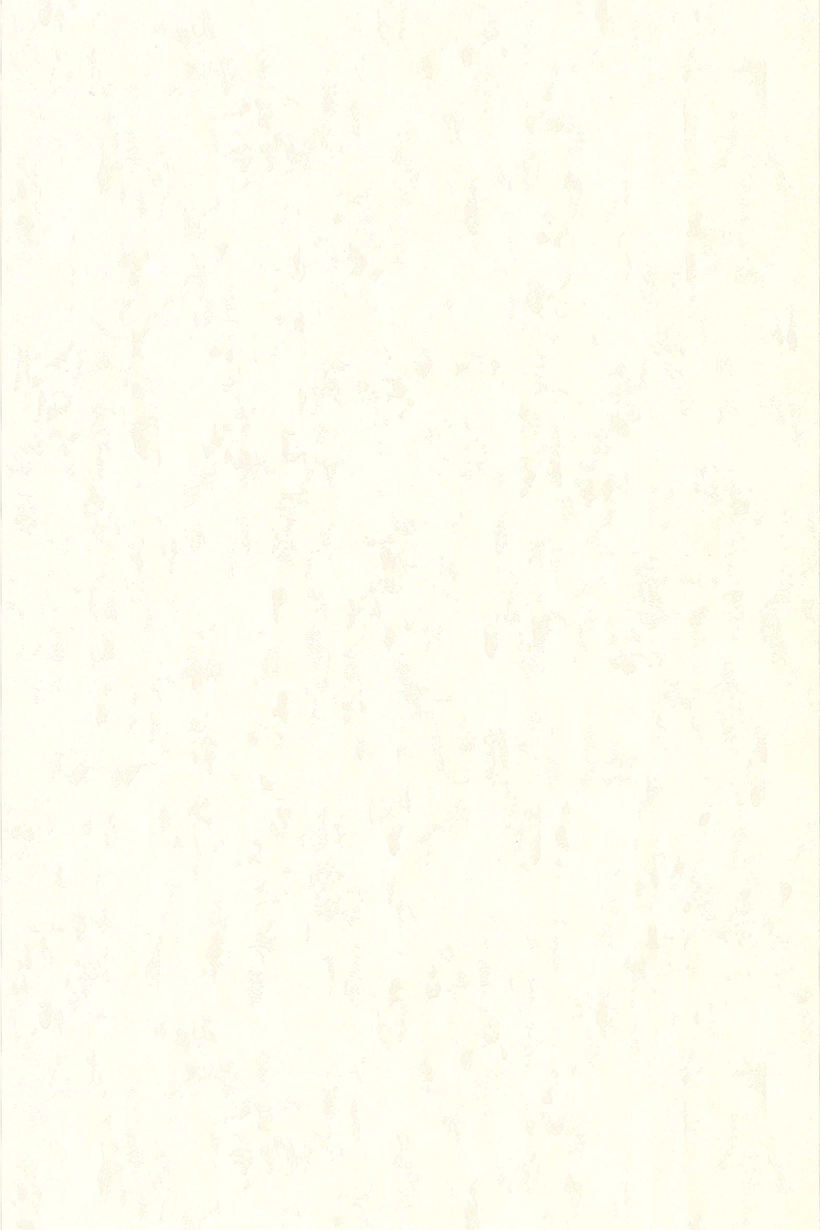 Crépi blanc calcaire - 51116400