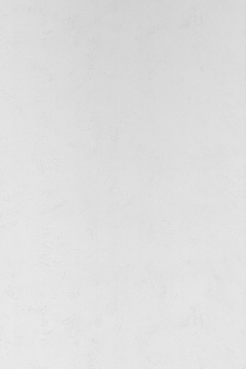 Brossé gris clair - 51125409