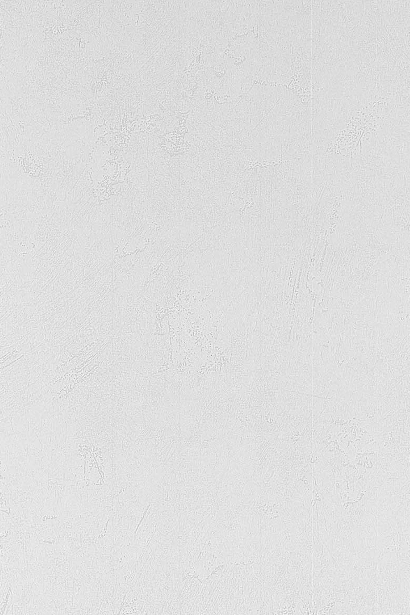 Brossé gris clair - 51125409 – Image 2