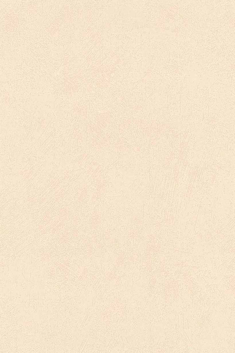 Brossé sable - 51125417 – Image 2