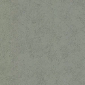 Brossé gris - 51125419