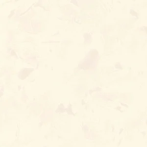 Alternative view of Mica blanc - 51153100