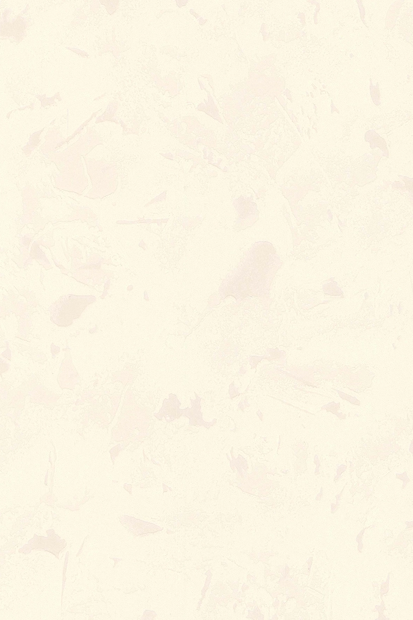 Mica blanc - 51153100 – Image 2