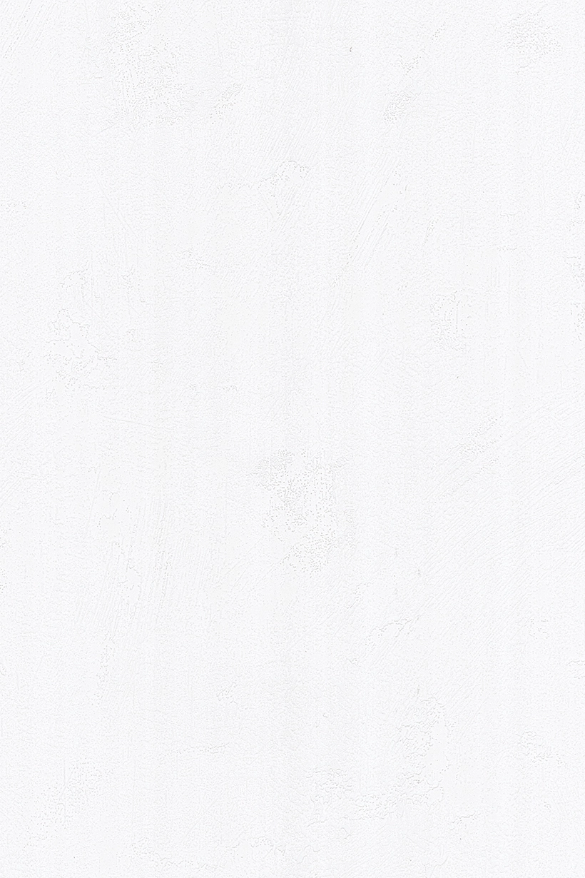 Uni taloché brossé blanc - 51241800 – Image 2