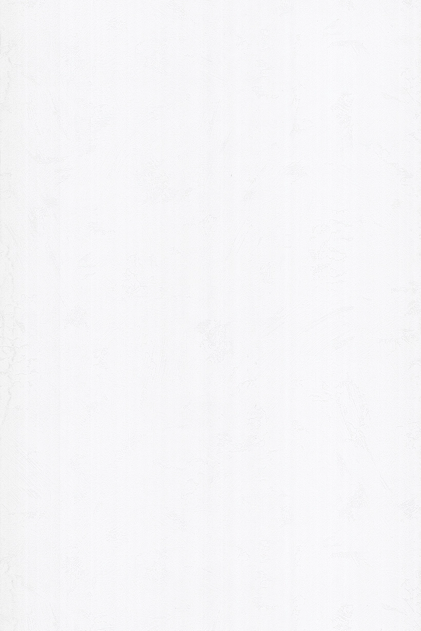 Uni taloché brossé blanc - 51241800