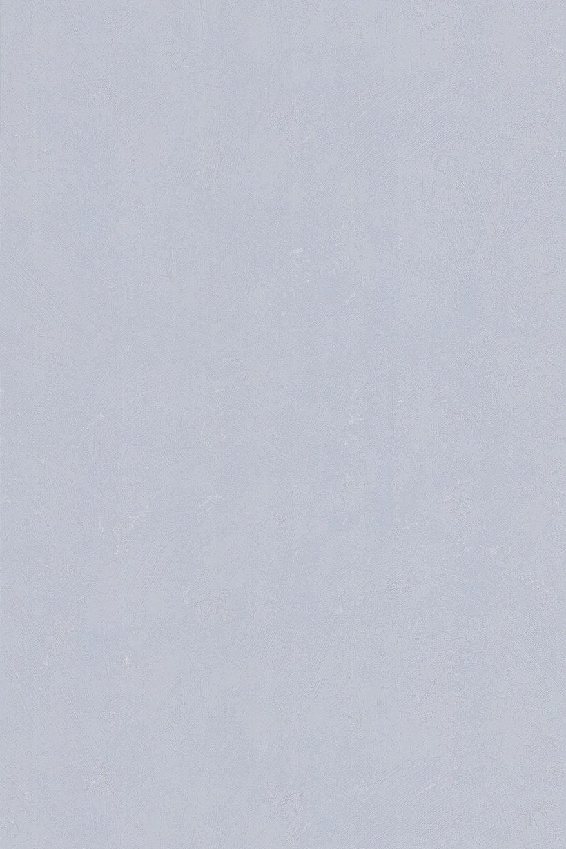 Uni taloché brossé gris bleuté - 51241809