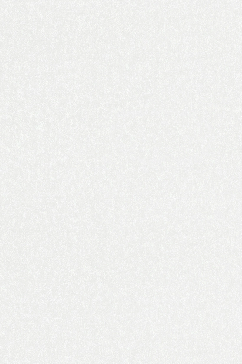 Uni velouté blanc porcelaine - 51244700 – Image 2
