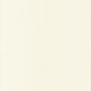 Uni point blanc - 53050600
