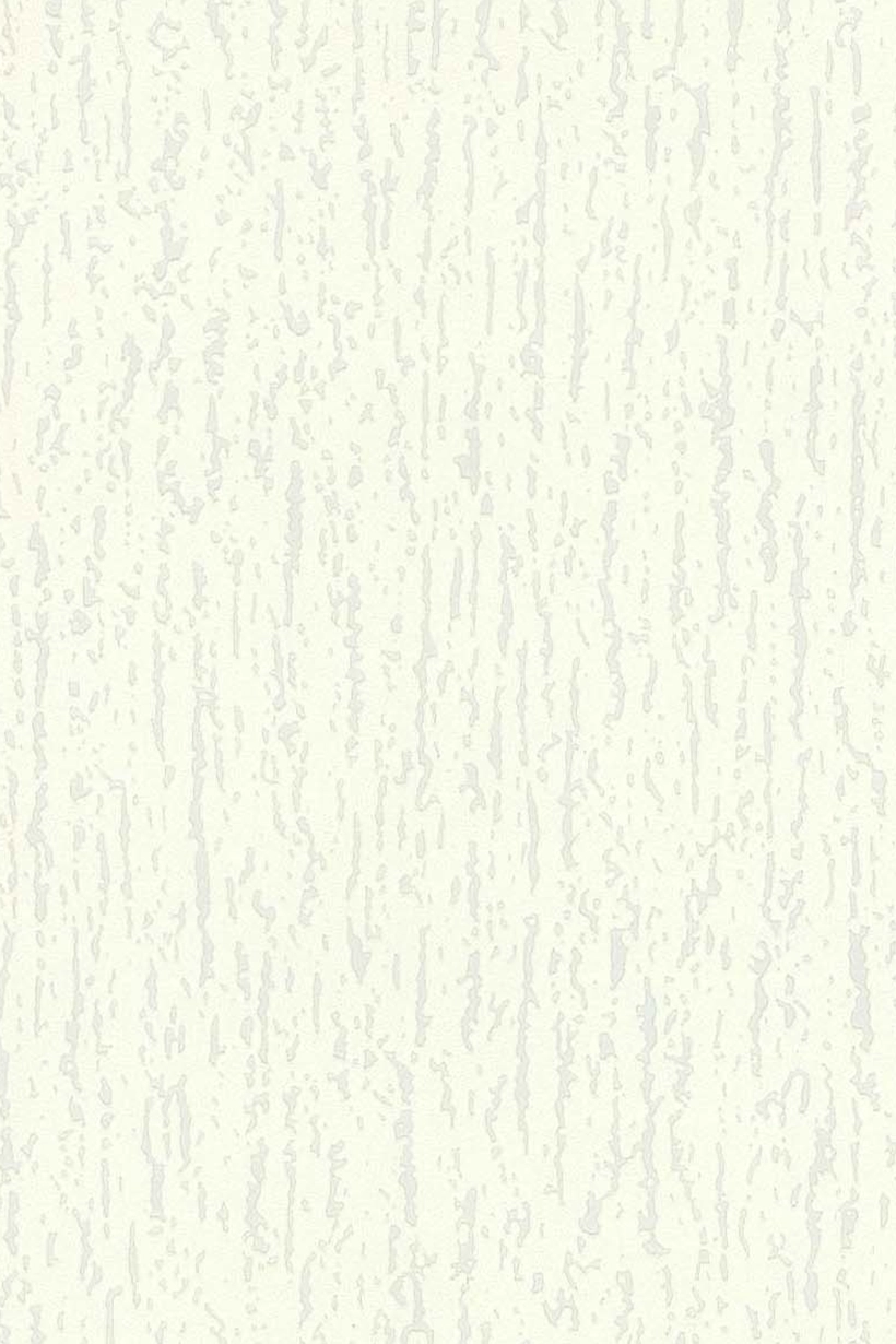 Crépi blanc xl - 53050800 – Image 2