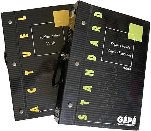 Actuel et Standard 2003